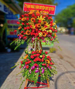 Hoa chúc mừng - 01