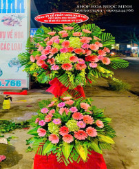 Hoa chúc mừng - 03